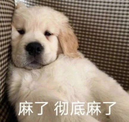 15d2bfd2668976a79043074f19b4a2bb.png