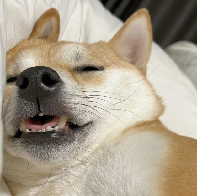 41357f9ea7f39970110c00ae1c05ff23.png