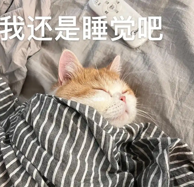 a43edf5c570f4131d7b3df031fee10f6.png