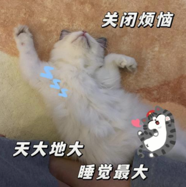 f99e7a9e928138925aeb0a11f9ff8f6e.png